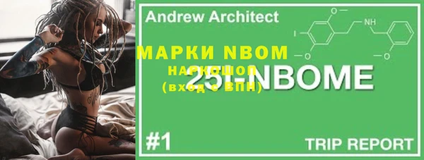 Альфа ПВП Инта