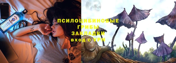 Альфа ПВП Инта