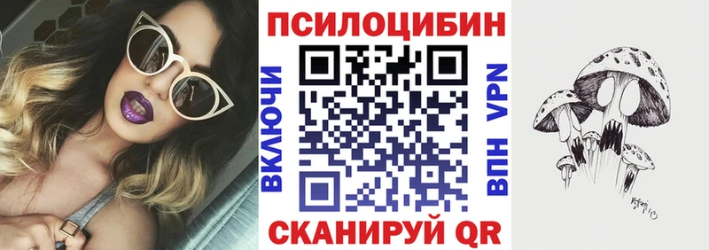 Псилоцибиновые грибы Psilocybe  Купить где  Саратов 